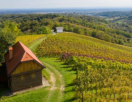 Vinarija Lagradi – 'Love for wine and positive feelings is the energy driving us every day'