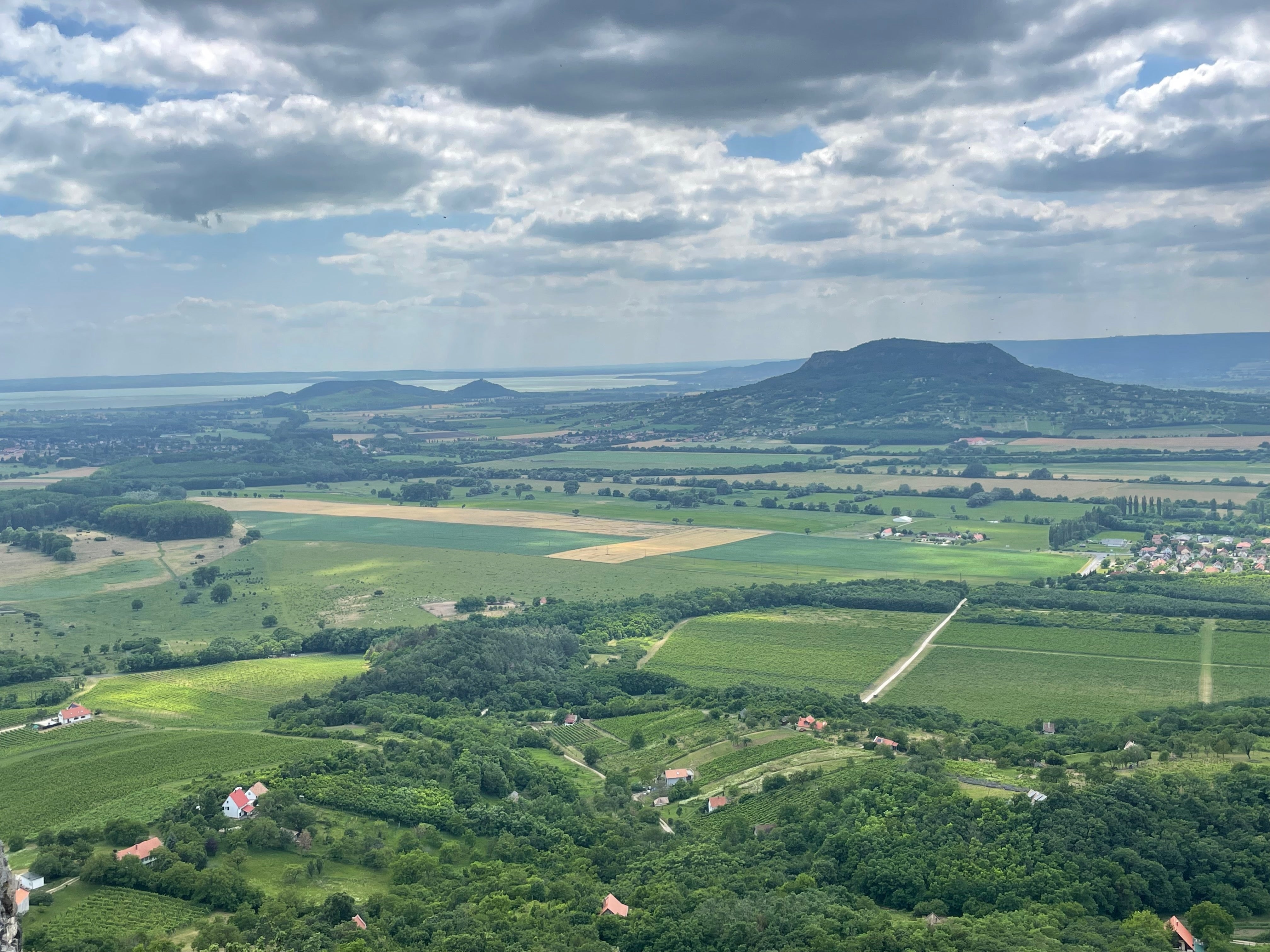 Sabar Kéknyelű 2023, Badacsony, Hungary