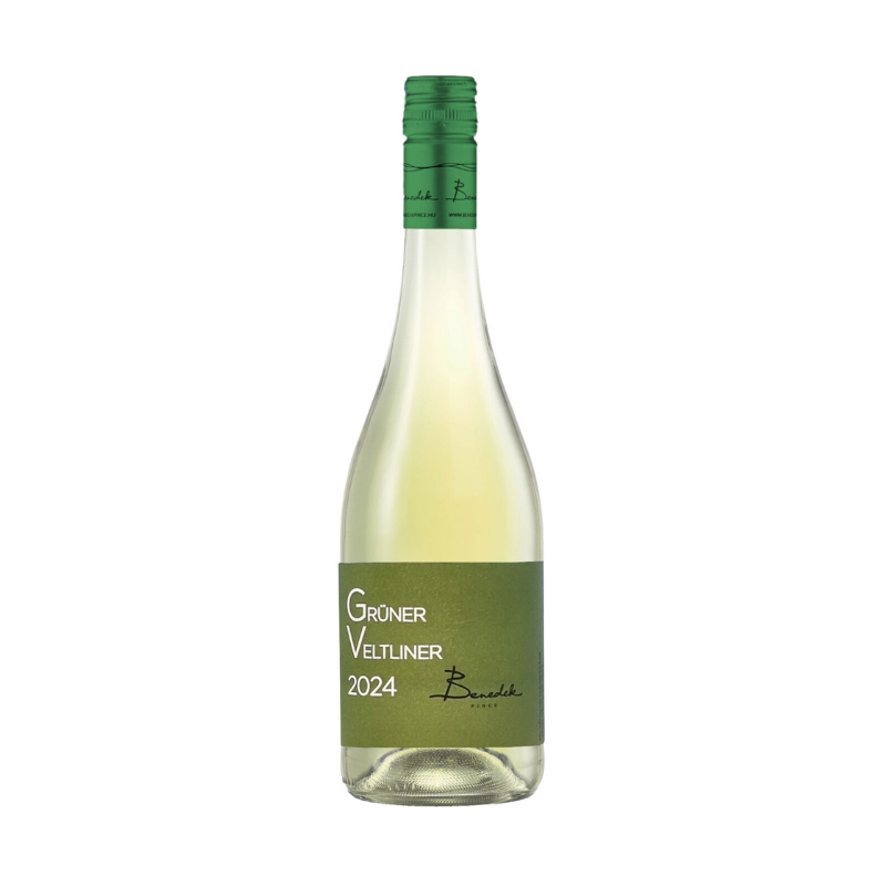 Benedek Gruner Veltliner 2024, Mátra, Hungary