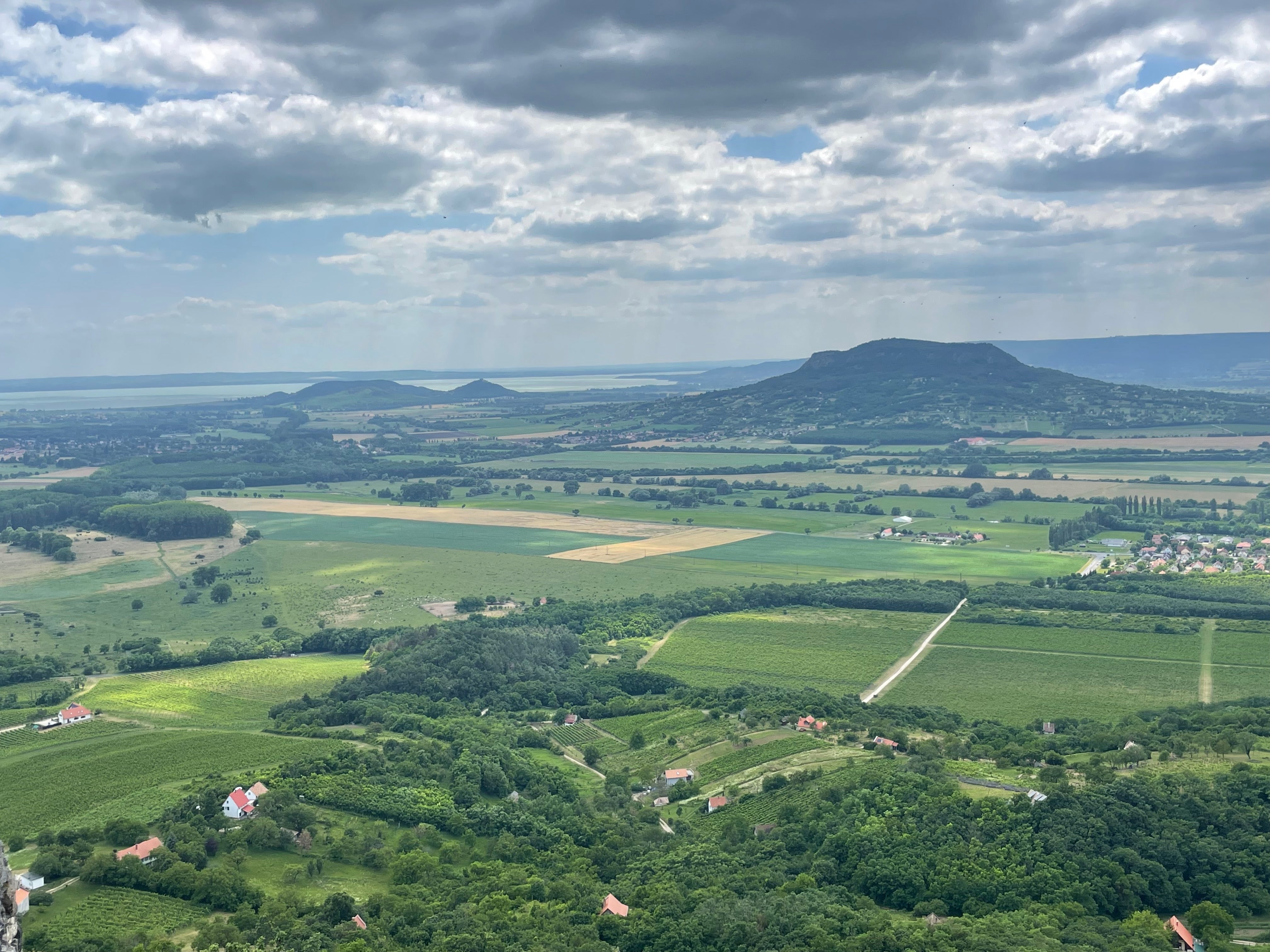 Sabar Kéknyelű 2022, Badacsony, Hungary