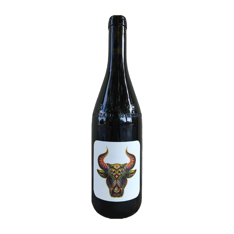 Márkvárt Bikavér/Bull's Blood 2019, Szekszárd, Hungary